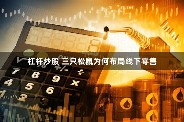杠杆炒股 三只松鼠为何布局线下零售