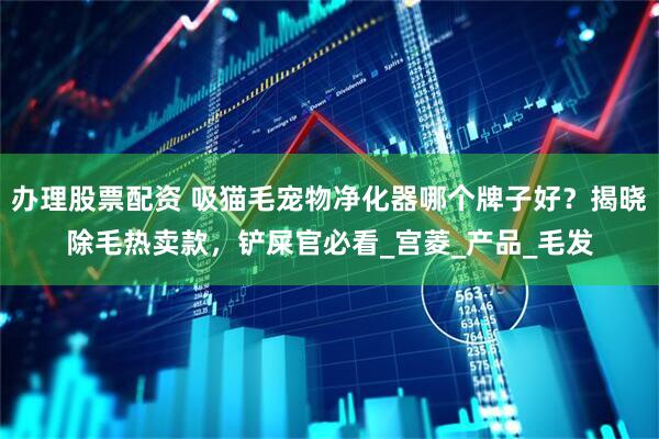 办理股票配资 吸猫毛宠物净化器哪个牌子好？揭晓除毛热卖款，铲屎官必看_宫菱_产品_毛发