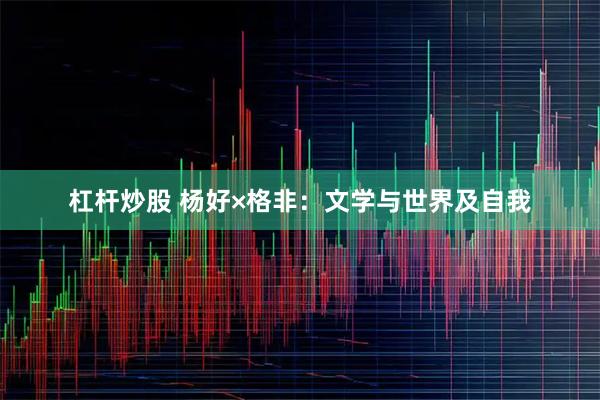 杠杆炒股 杨好×格非：文学与世界及自我